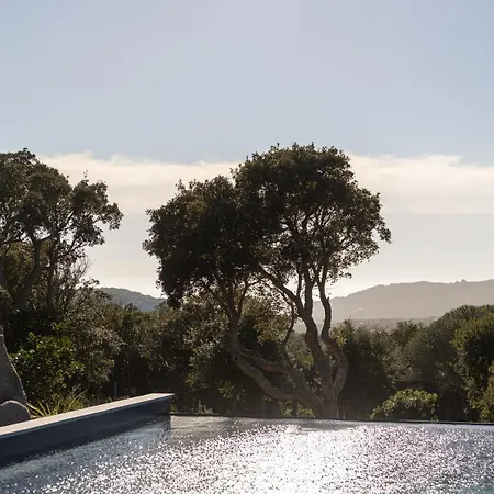 فيلة Casa Nera *